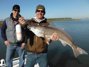 Chris with an inshore beast that went over 30 inches!