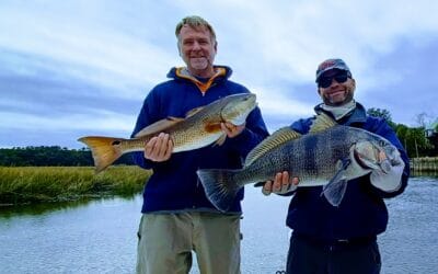 Charter fishing in Charleston and Folly Beach!